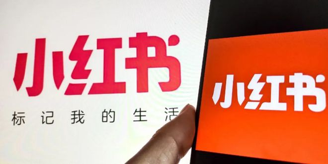 新刊热卖2024年8月刊《体育商业：从赛场到市场(图8)