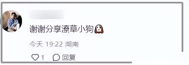 36岁林更新跑步被偶遇本人暴瘦撑不起裤子读博被女同学包围！(图6)