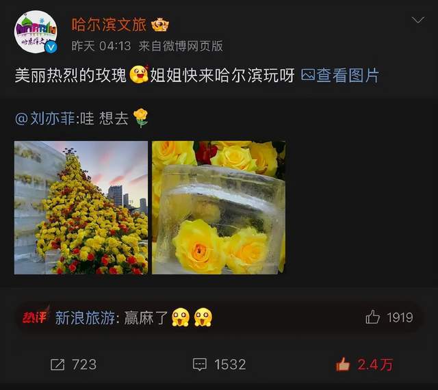 冰雪游热度“狂飙”谁能接力“尔滨”？(图3)