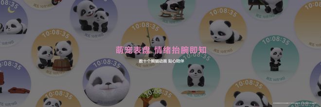 要想时刻表现好这件装备少不了(图8)