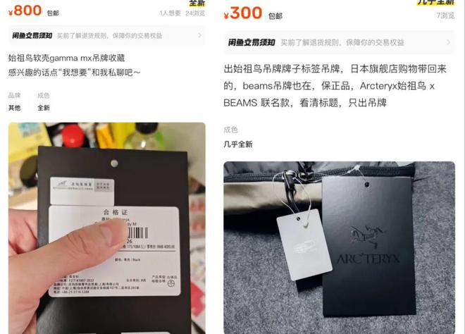 吊牌都能卖300始祖鸟全靠中国人养活(图1)