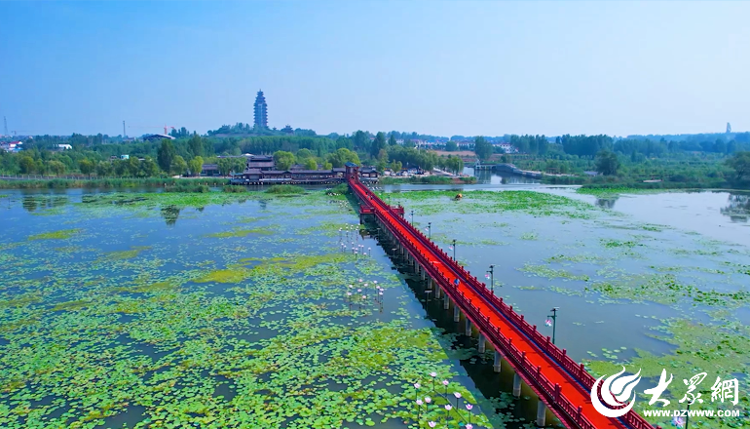 众观济宁丨济宁跑着跑着就“圈粉”了(图22)