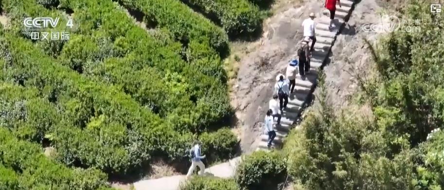 户外运动产业迎规模化发展消费扩容激活新经济增长点(图3)