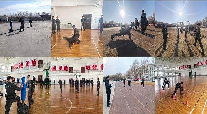 【基础训练年】激发训练动能增强实战本领