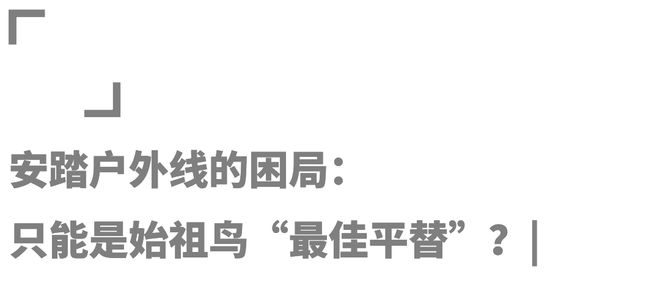 始祖鸟技术下放之谜：安踏的“高端魔法”能否照亮平民户外赛道？(图5)
