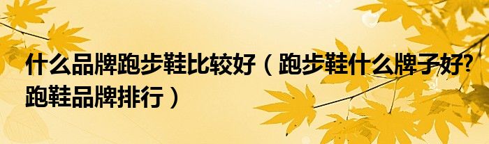 什么品牌跑步鞋比较好（跑步鞋什么牌子好？跑鞋品牌排行）(图1)