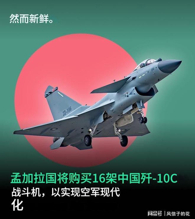 歼-10C新买家即将出现针对印度作战能力提升(图7)