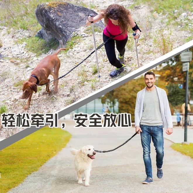 宠物狗腰带出门遛狗必备神器！(图5)