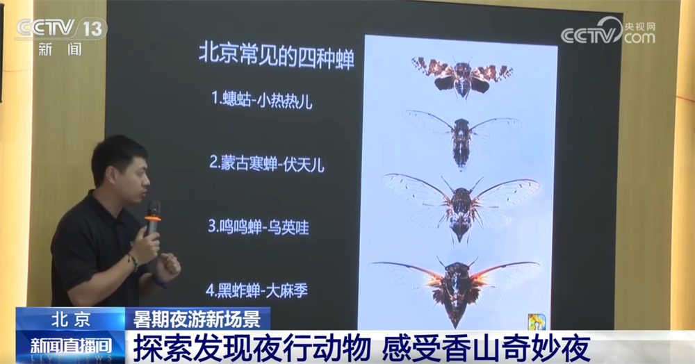 在博物馆学知识、去公园探索自然、来一场户外运动暑期夜游乘“热”而上(图3)