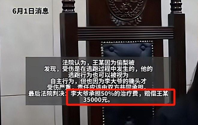 偷梨摔倒后续：法院判赔35万给小偷律师：以后小偷更理直气壮(图5)