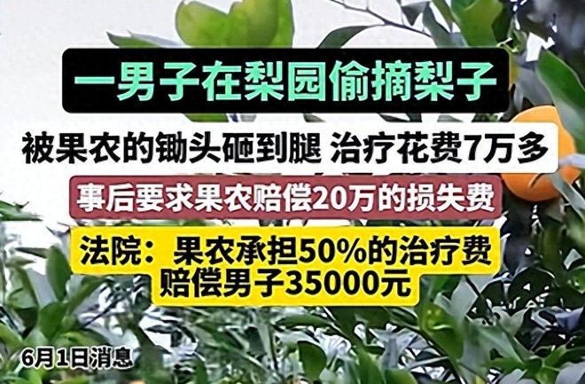 偷梨摔倒后续：法院判赔35万给小偷律师：以后小偷更理直气壮(图1)
