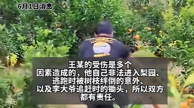偷梨摔倒后续：法院判赔35万给小偷律师：以后小偷更理直气壮(图4)