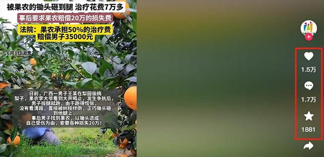偷梨摔倒后续：法院判赔35万给小偷律师：以后小偷更理直气壮(图6)