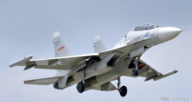 中国歼16强大性能受关注俄限制出口美称其为最强侧卫(图10)