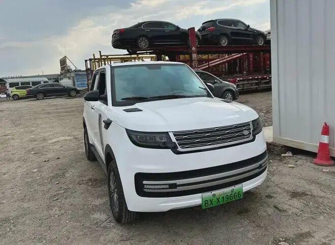 观察：老头乐畅销谁在买单？(图5)