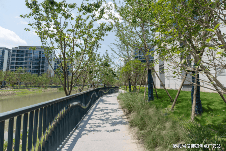 尚湾林语售楼处│尚湾林语(营销中心)-2025销售中心(售楼处)-楼盘欢迎您-价格户型地址环境配套交房时间电话(图14)