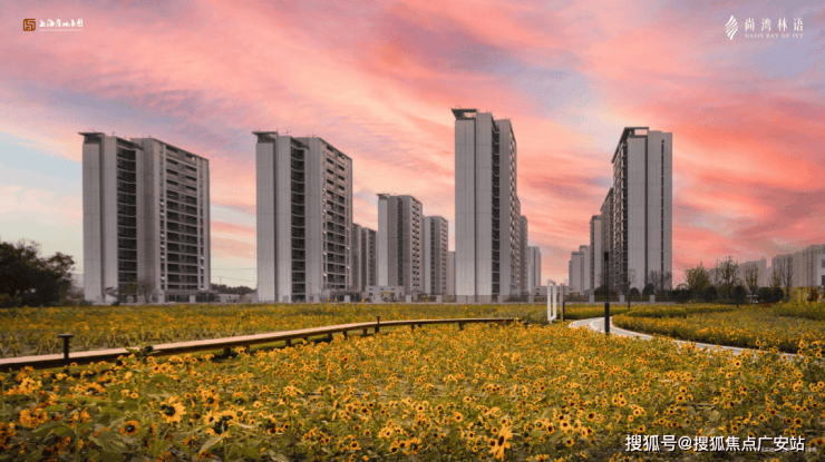 尚湾林语售楼处│尚湾林语(营销中心)-2025销售中心(售楼处)-楼盘欢迎您-价格户型地址环境配套交房时间电话(图19)