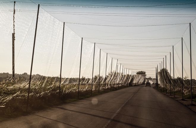 乌军承认俄军在红军城部分成功俄学乌组建无人系统部队狼叔看世界(图4)