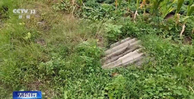 看小说学盗墓挖走20余件国宝特大盗墓案细节曝光(图18)