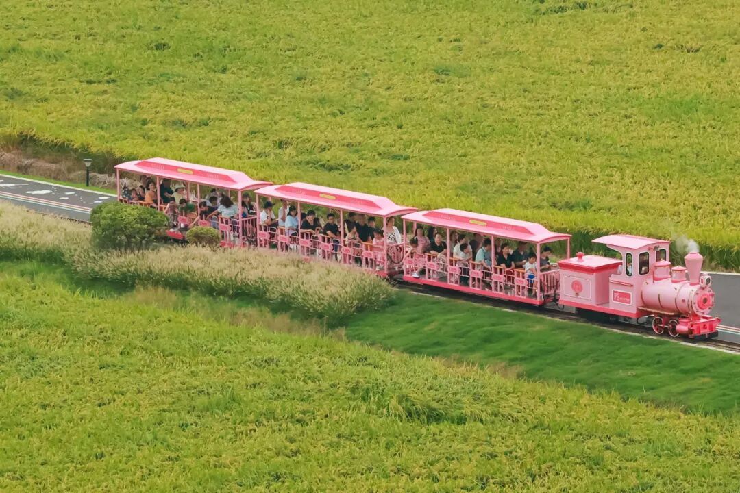 吸引国际巨头13次“加仓”为什么是太仓？(图6)