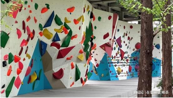 高校专业攀岩墙：适配社团训练的竞技成长空间(图3)