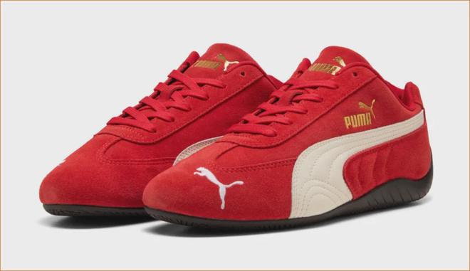 坐稳全球第三！2025安踏的“帝国地图”与“裂缝警报”(图5)