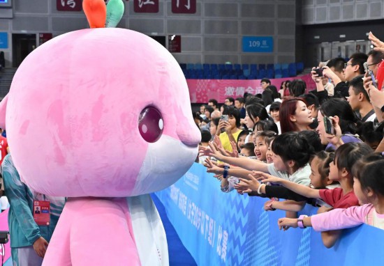 从“苏超”到“大湾鸡”赛事经济持续升温(图2)