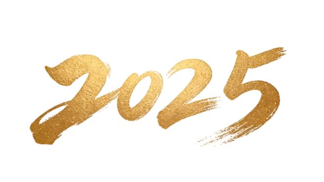 2025年十大跑者共鸣最深的金句(图1)