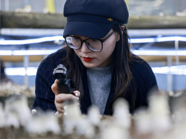 跨江融链强协同泰州“两个融入”激活长三角发展新动能(图3)