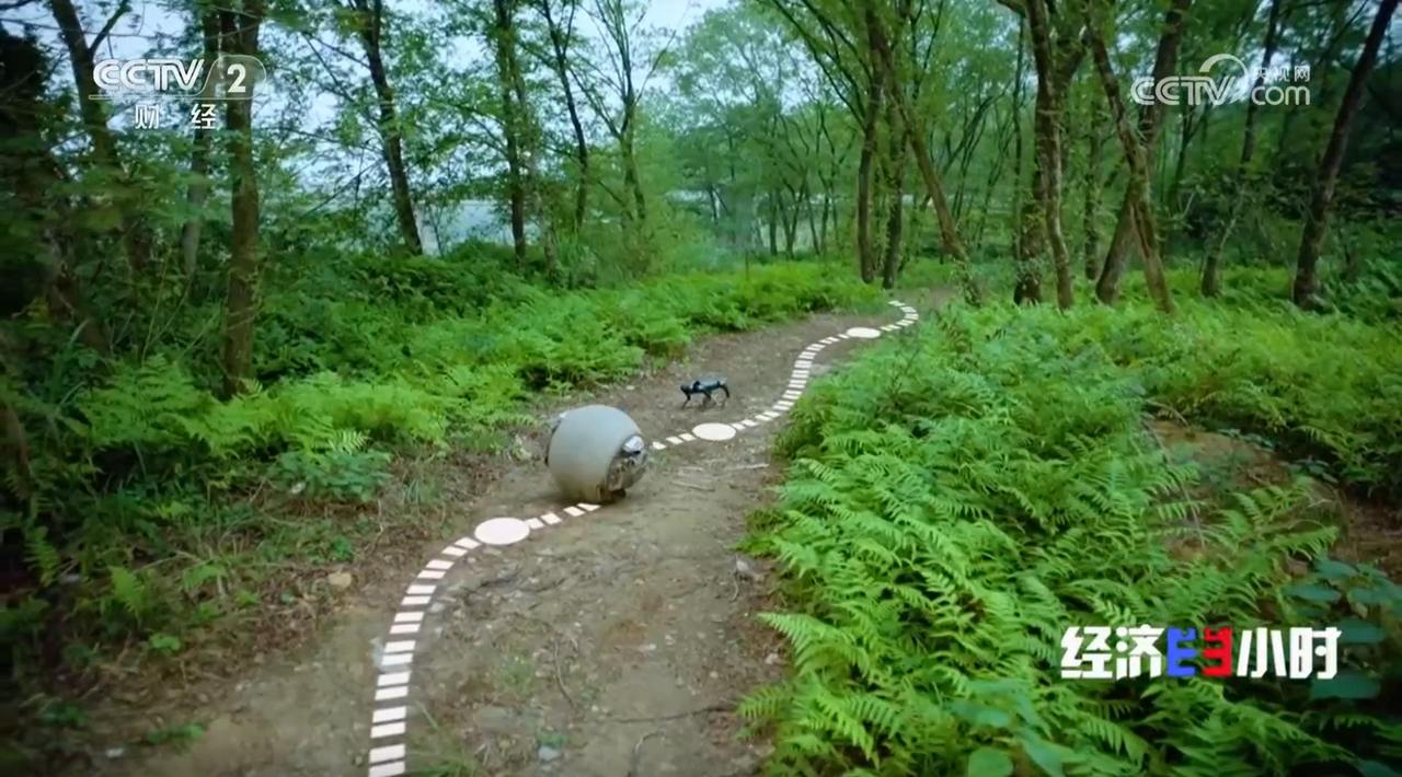 新年新场景：机器人“新同事”今日上岗(图3)