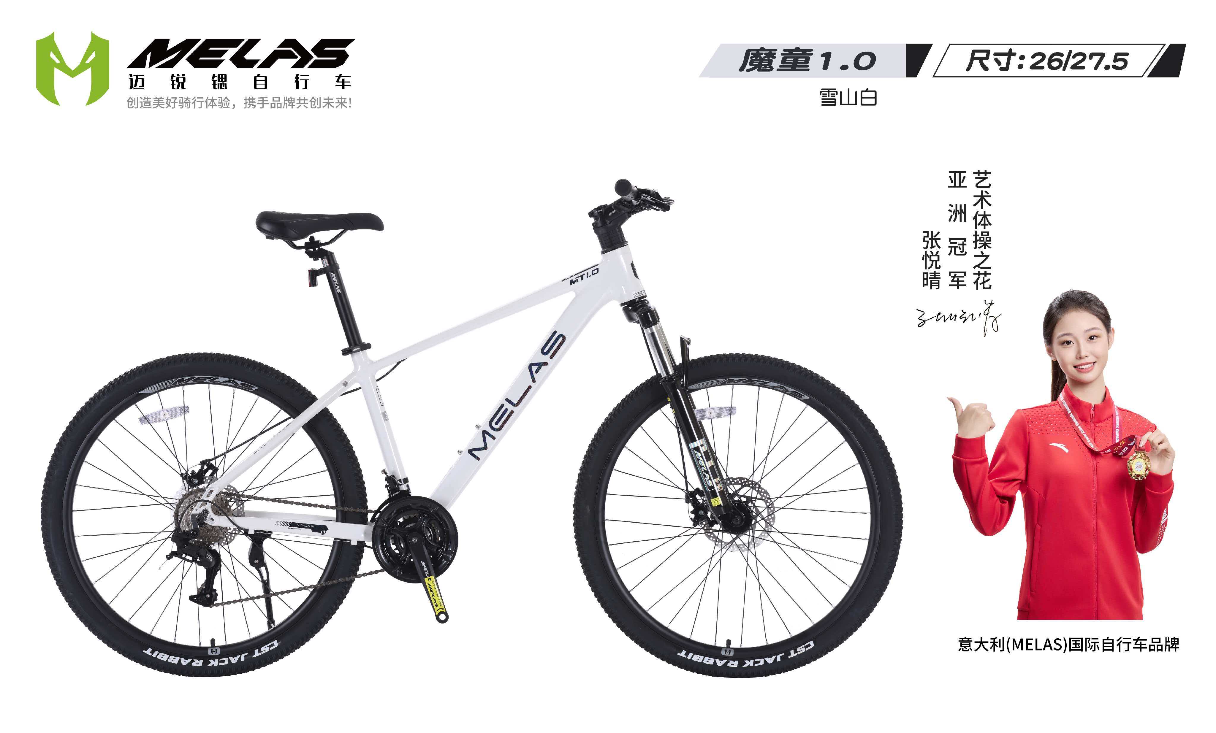 2026年初天津实用自行车生产商综合实力与选型指南(图3)