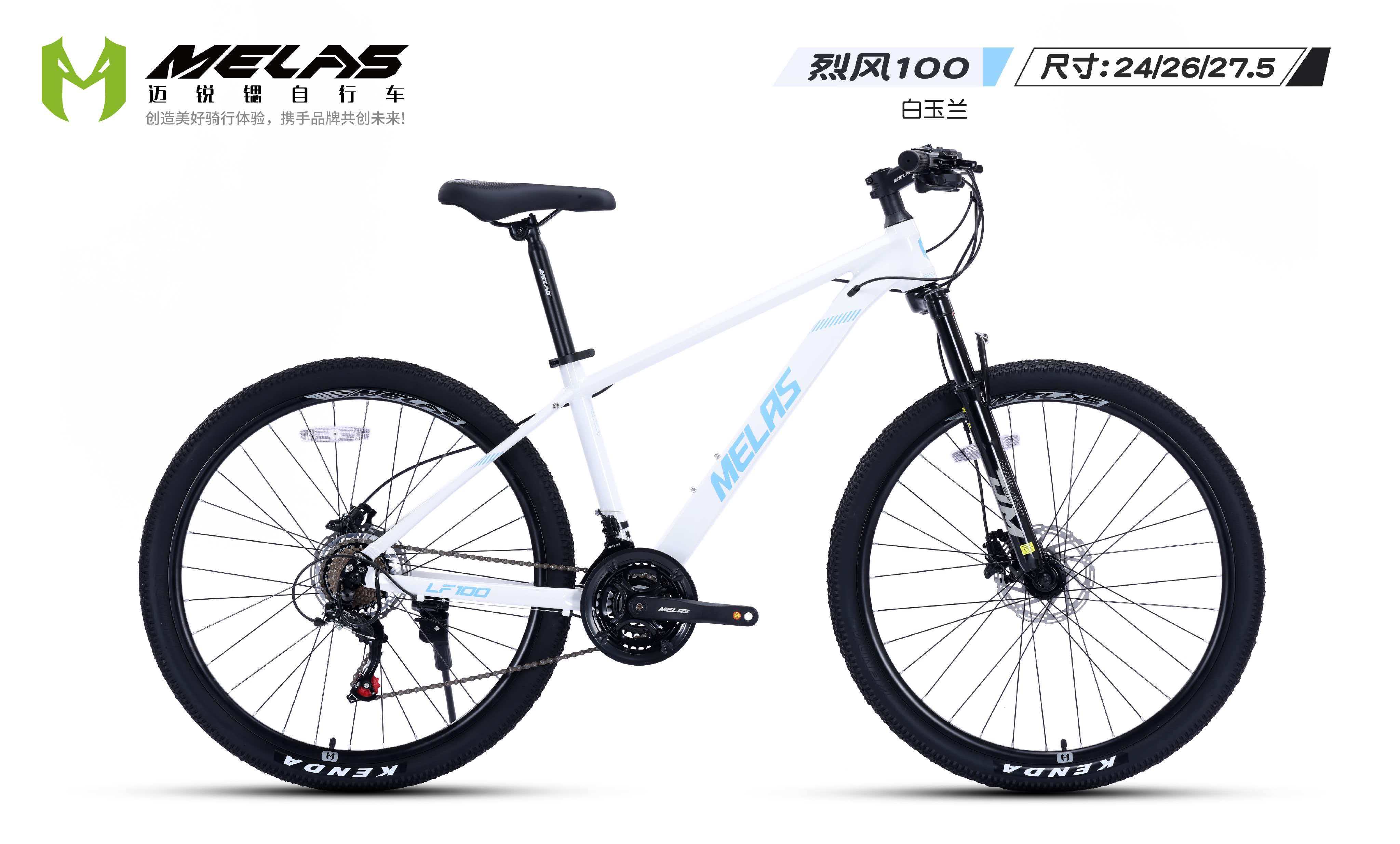 2026年中国自行车批发市场趋势与TOP5供应商推荐(图1)