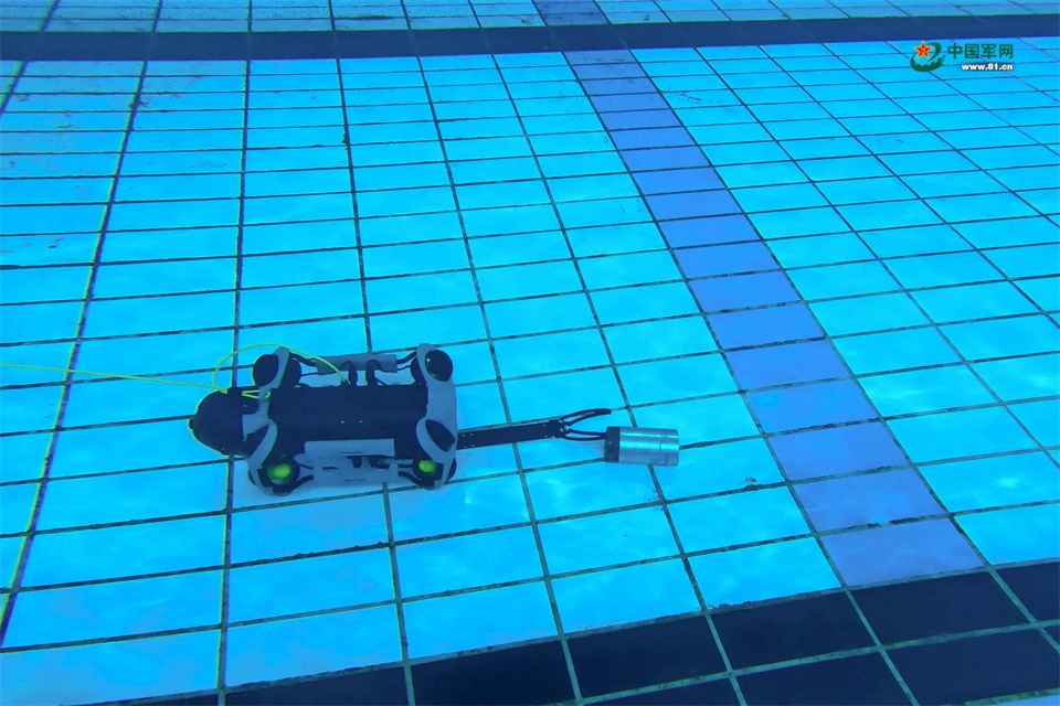 武警河北总队秦皇岛支队组织专项训练锤炼水下尖兵(图4)