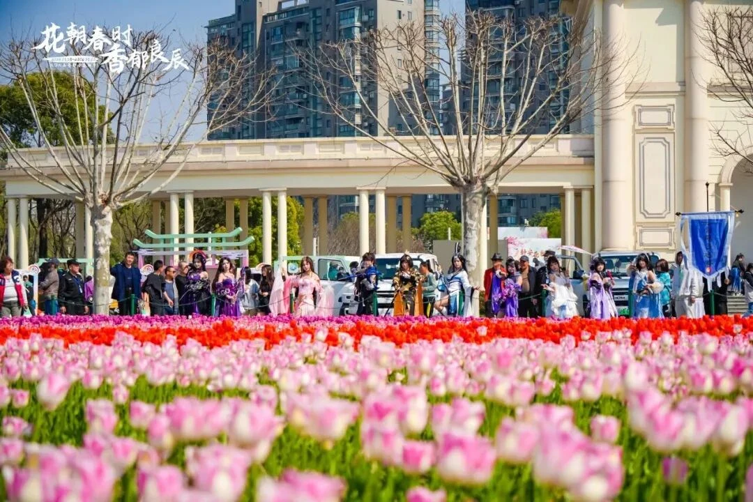 这些爆火的「春日经济」可不只是新“花”样(图8)