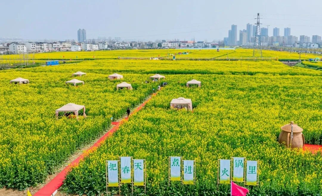 这些爆火的「春日经济」可不只是新“花”样(图4)