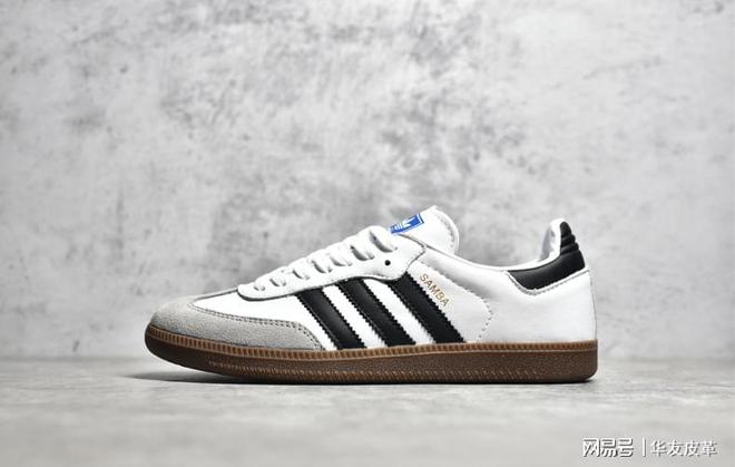 知识分享|2024流行鞋款推荐(图3)