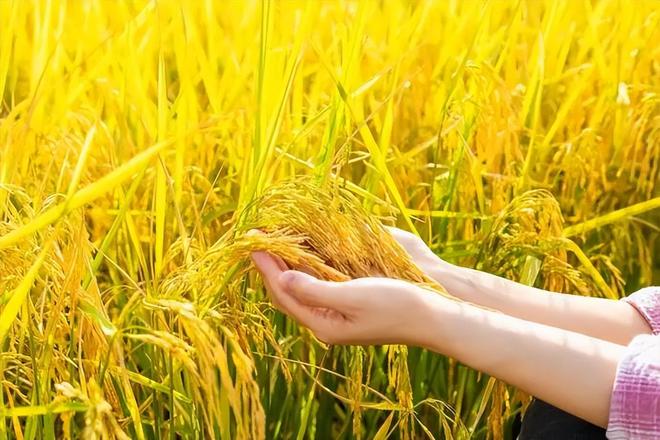 全民国家安全教育日科技越先进我们越要警惕这些隐形风险(图3)