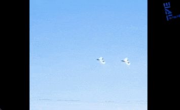 阿尔及利亚购买苏-57E开始亮相中国制造歼-35AE型战斗机还有机会吗？(图2)