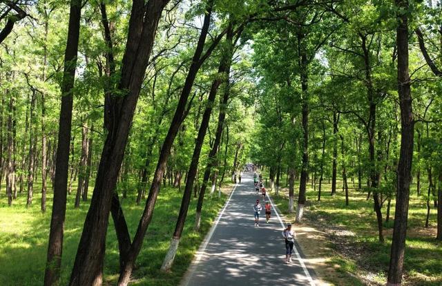 民权跑进全国统一大市场(图1)